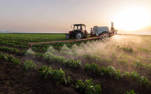 Best Commercial Pest Control Services  in Reedspt, OR
