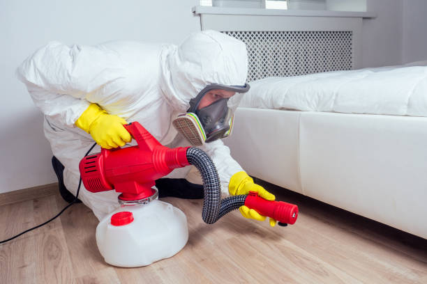 Professional Pest Control in Reedsport, OR