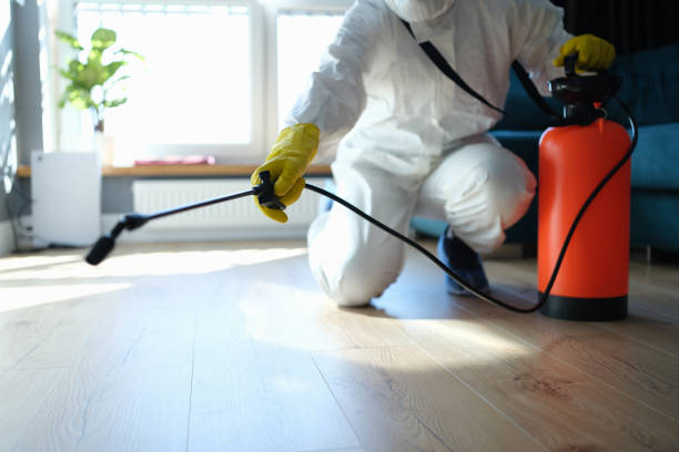 Best Flea Control Services  in Reedspt, OR