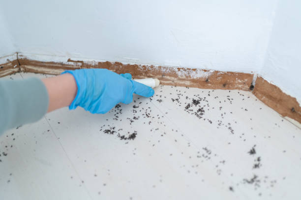  Reedspt, OR Pest Control Pros