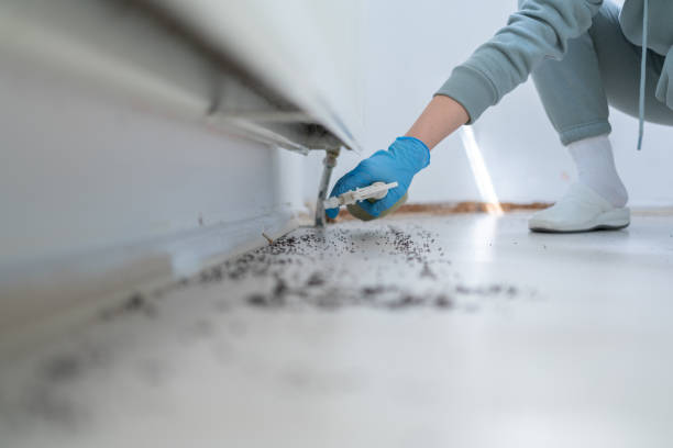 Best Local Pest Control Services  in Reedspt, OR