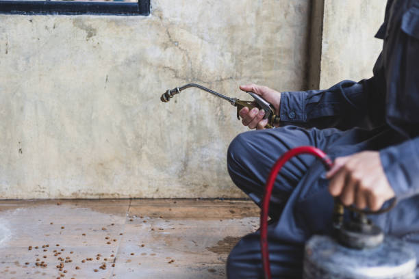 Best Pest Prevention Services  in Reedspt, OR